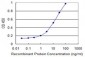 CLN3 Antibody (monoclonal) (M03)